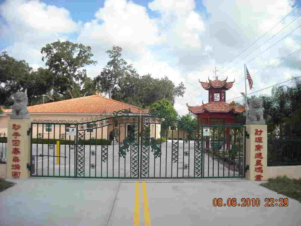 Dragon Phoenix Acupuncture Clinic